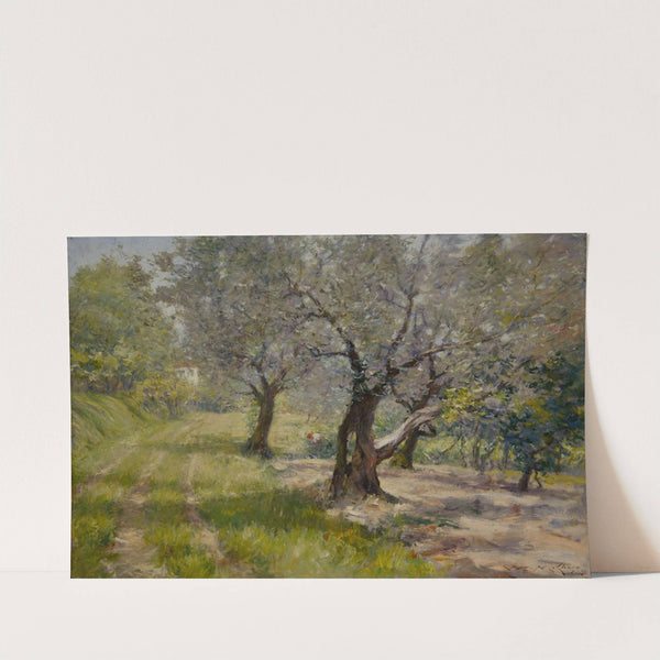 The Olive Grove by William Merritt Chase