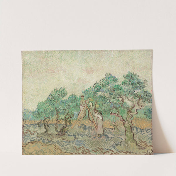 The Olive Orchard (1889) by Vincent van Gogh