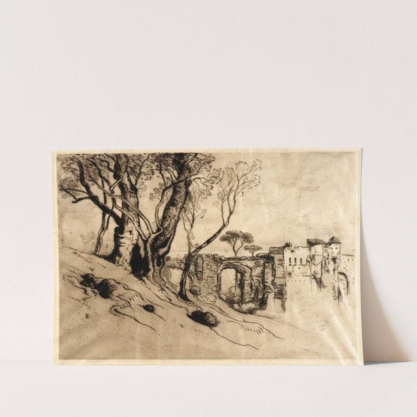 The Olive Trees of the Riviera by Samuel Colman