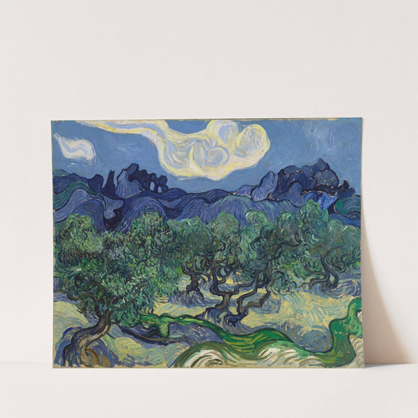 The Olive Trees (1889) by Vincent van Gogh