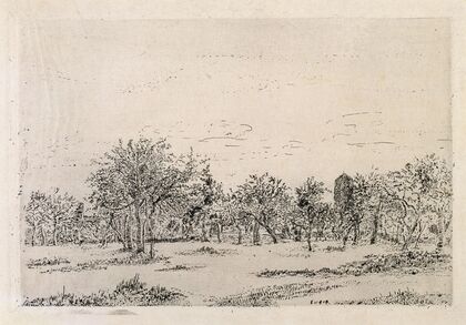 The Orchard