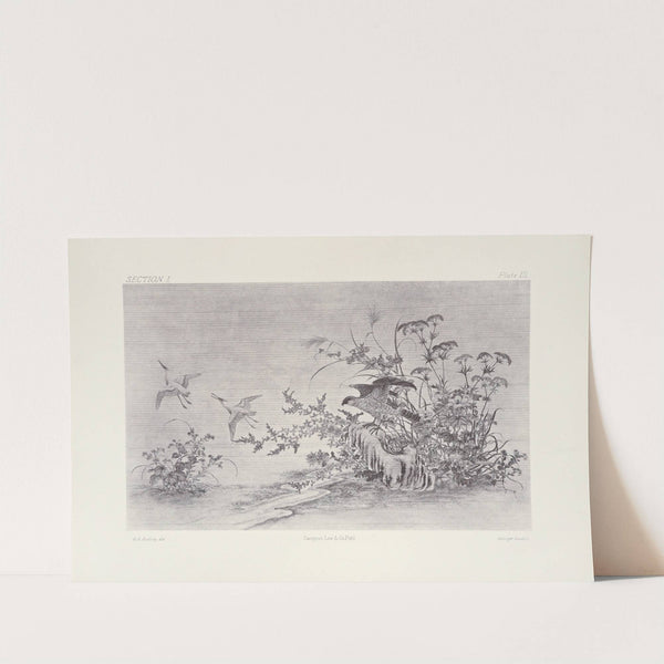 The ornamental arts of Japan Pl.009 by George Ashdown Audsley