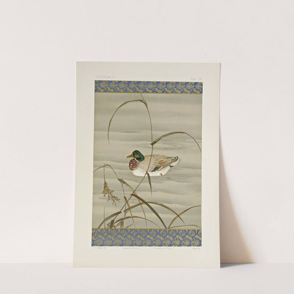 The ornamental arts of Japan Pl.015 by George Ashdown Audsley