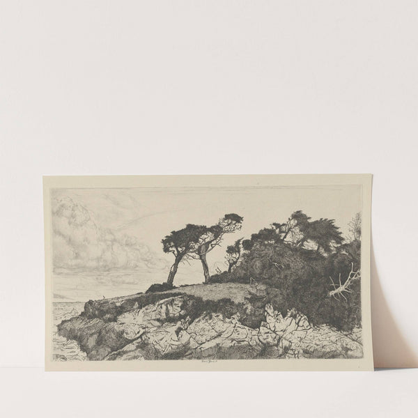 The Ostrich (1915) by Ernest Haskell