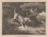 The Otter Hound (1834)