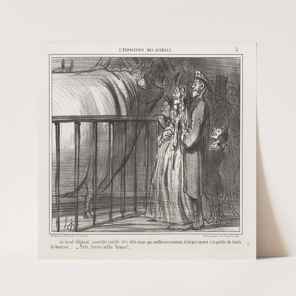 The ox-elephant, a new and very promising breed… (1856) by Honoré Daumier