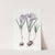 The Painted Vernal Crocus by Sydenham Edwards