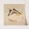 The Painting Manual of Flock of Butterflies (Gunchō Gafu) 3 by Kubo Shunman