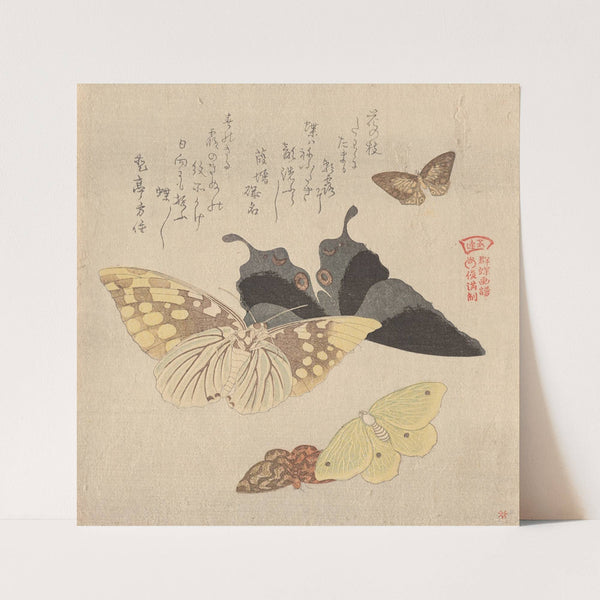 The Painting Manual of Flock of Butterflies (Gunchō Gafu) 4 by Kubo Shunman