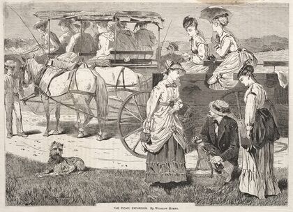 The Picnic Excursion (1869)