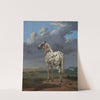 The Piebald Horse by Paulus Potter
