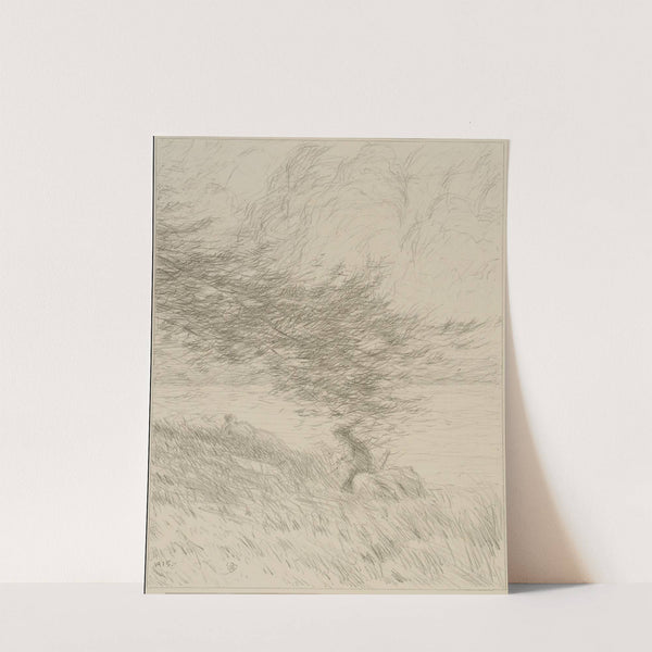 The Pine Bough by Bolton Brown