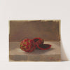 The Pitajaya Fruit, Columbia by Anonymous