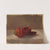 The Pitajaya Fruit, Columbia by Anonymous