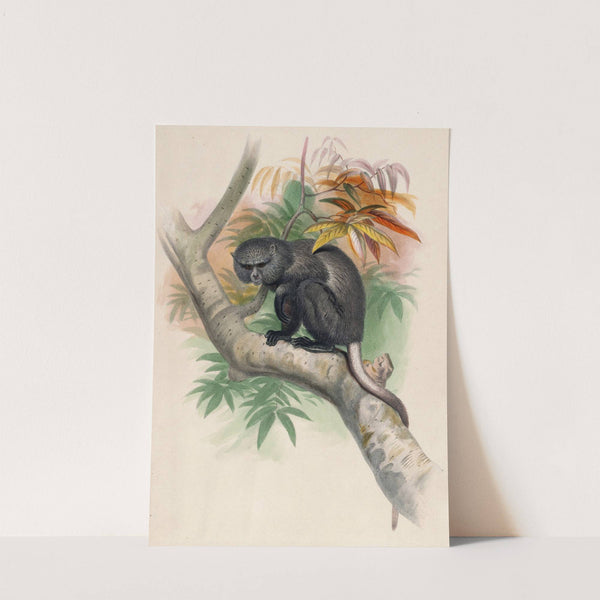 The Pluto Monkey by Joseph Wolf