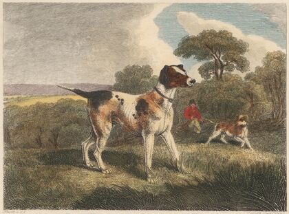 The Pointer (1812)