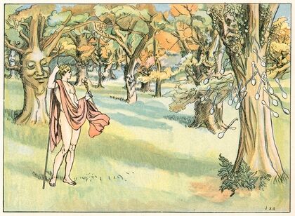 The Poplar Tree