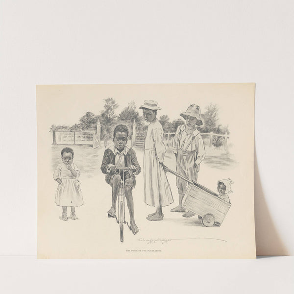 The pride of the plantation by J. Campbell Phillips
