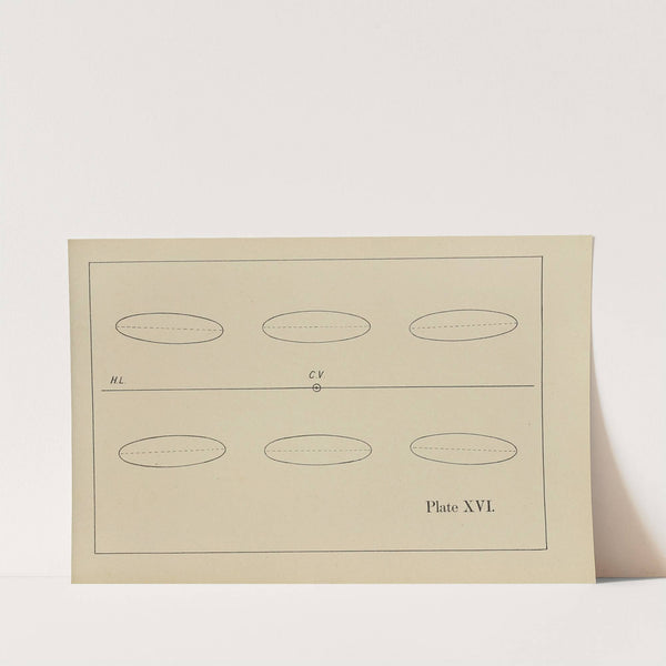 The principles of perspective as applied to model drawing & sketching from nature Pl.16 by George Trobridge