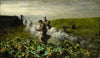 The Pumpkin Harvest