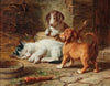 The Puppies Are Awake (1884)