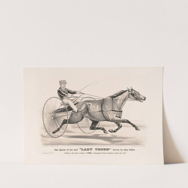 The queen of the turf ‘Lady Thorn’ driven by Dan Pfifer (1869) by John Cameron