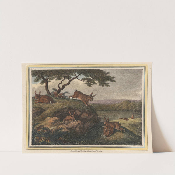 The Rabbit (1812) by Samuel Howitt