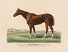 The racing King salvator (1890)