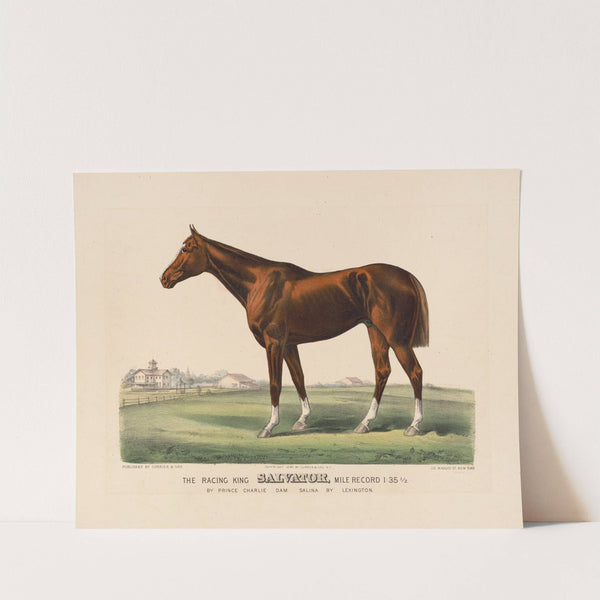 The racing King salvator (1890) by John Cameron