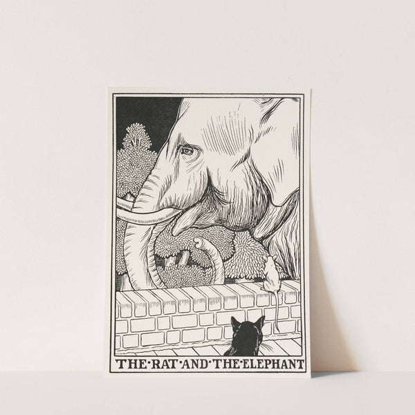 The Rat and the Elephant by Percy J. Billinghurst