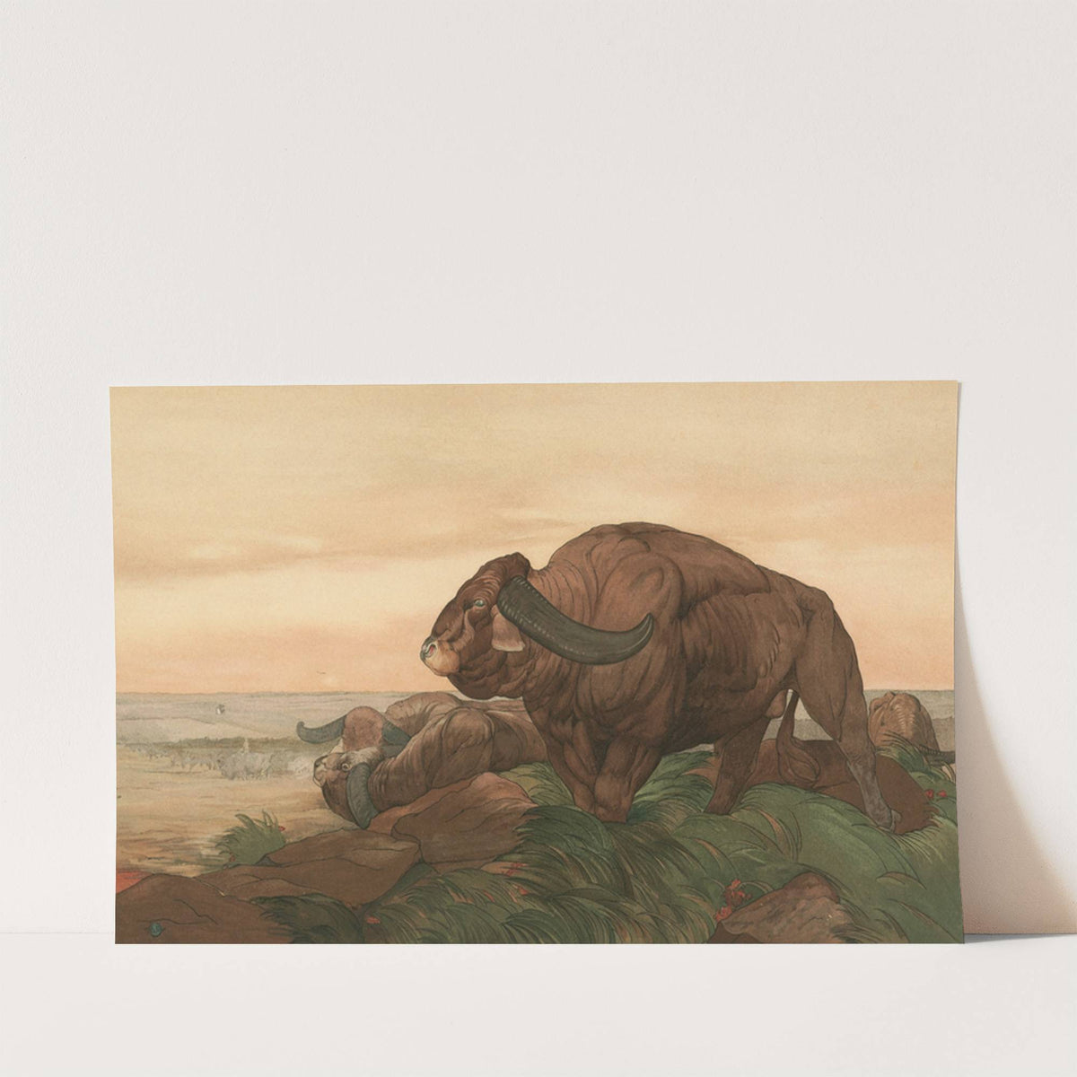 The Return Of The Buffalo Herd by Charles Maurice Detmold