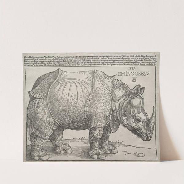 The Rhinoceros (1515) by Albrecht Dürer