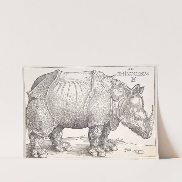 The rhinoceros (1515) by Albrecht Dürer