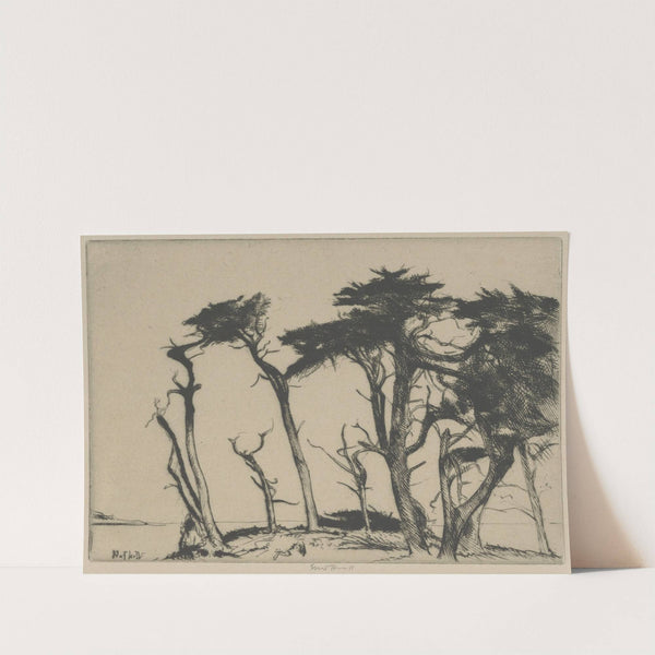 The Rhythm of the Cypress (1915-1925) by Ernest Haskell