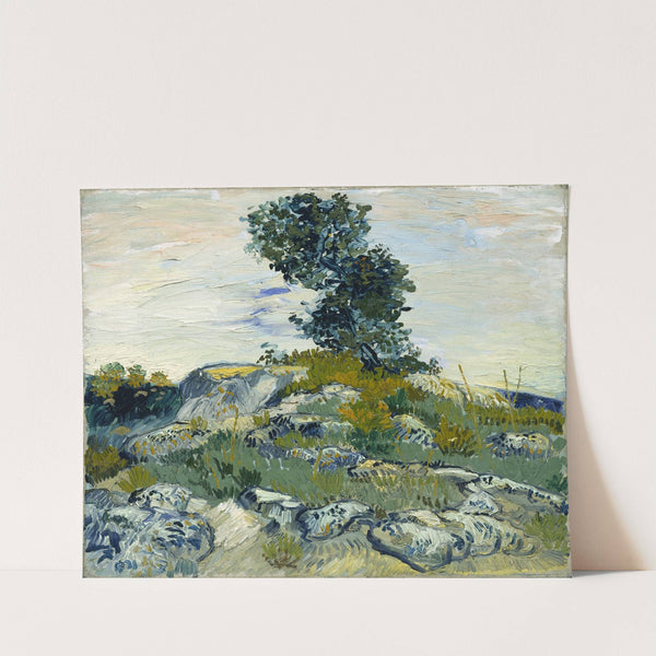The Rocks by Vincent van Gogh