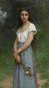 The rose