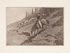 The roundup (1902)