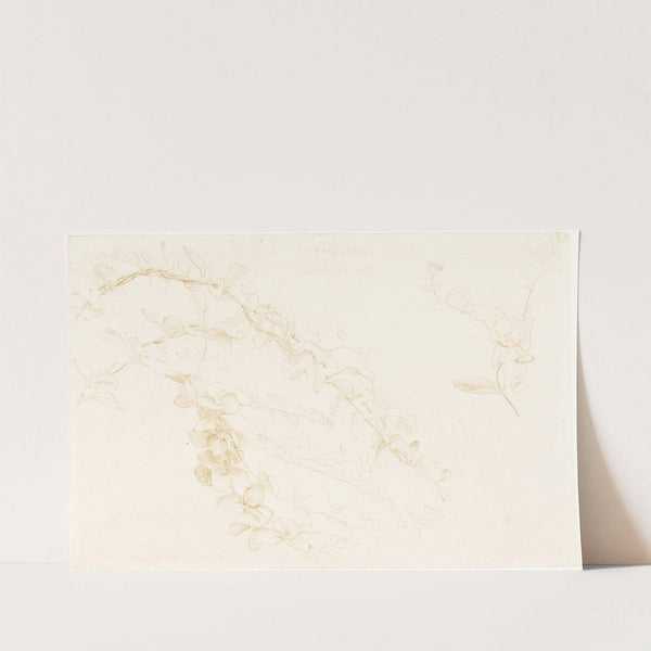 The Sandal by Edward John Poynter