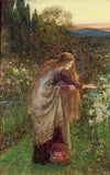 The Sensitive Plant