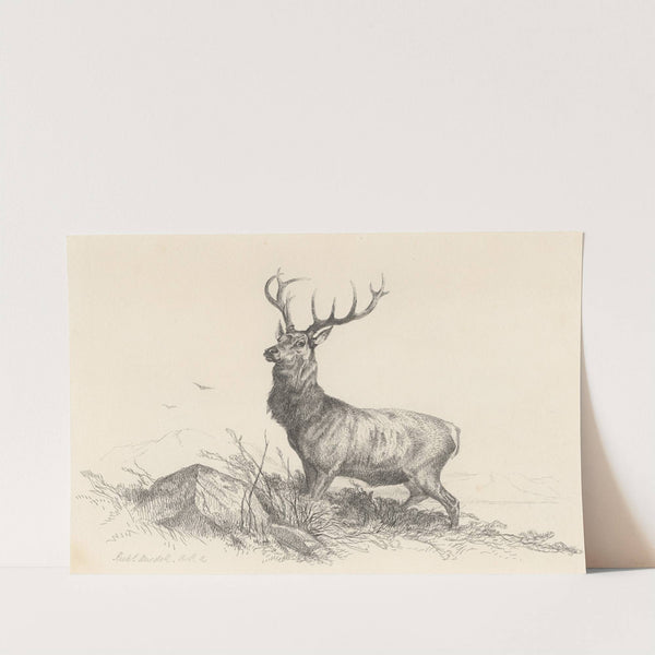 The Sentinel by Richard Ansdell