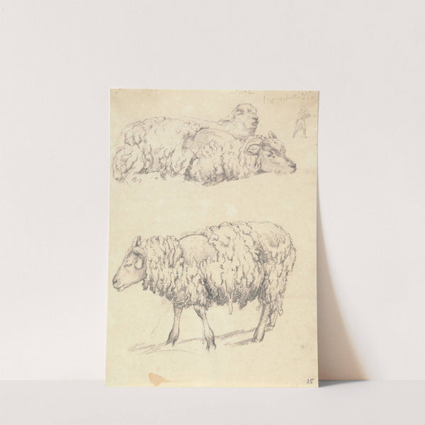 The Shearing by Robert Hills