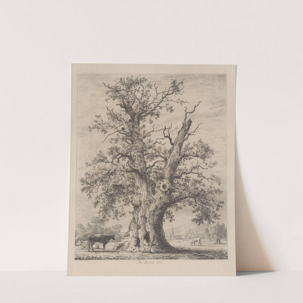 The Shelton Oak by Jacob George Strutt