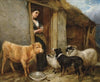 The shepherd’s home