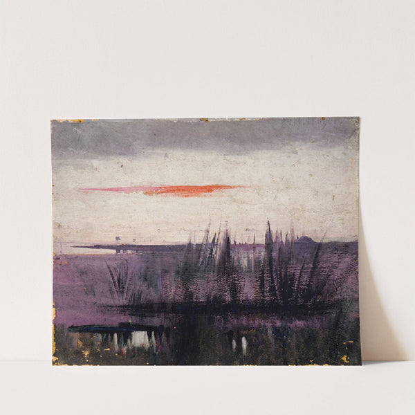 The Sky Simulated By White Flamingoes Study For Book, Concealing Coloration In The Animal Kingdom by Abbott Handerson Thayer