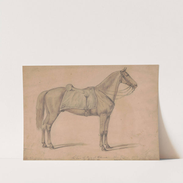 The sorrel horse the Prince of Wales rode at Boston by Augustus Köllner