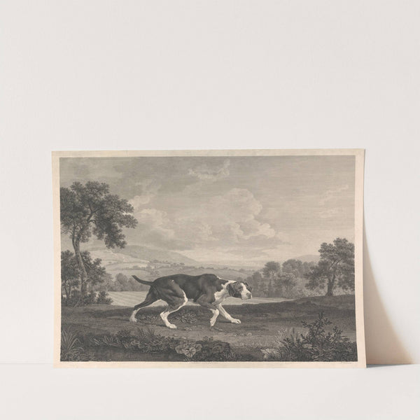 The Spanish Pointer (1768) by George Stubbs