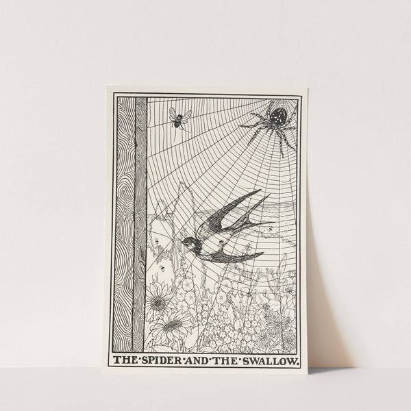 The Spider and the Swallow by Percy J. Billinghurst