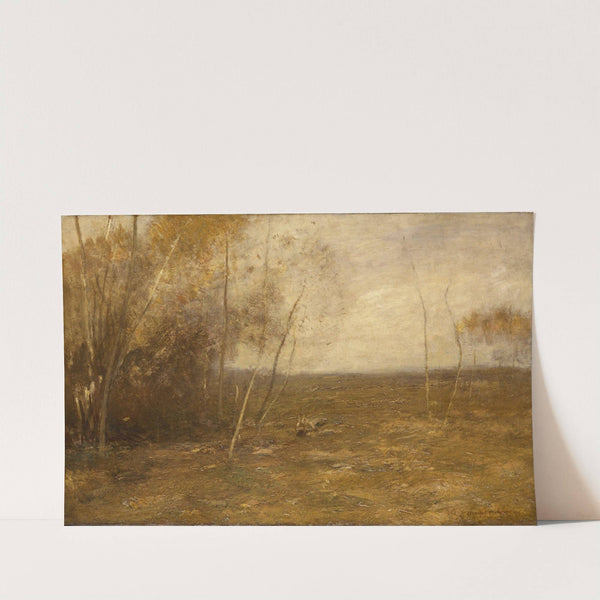 The Sprout Lot by John Francis Murphy