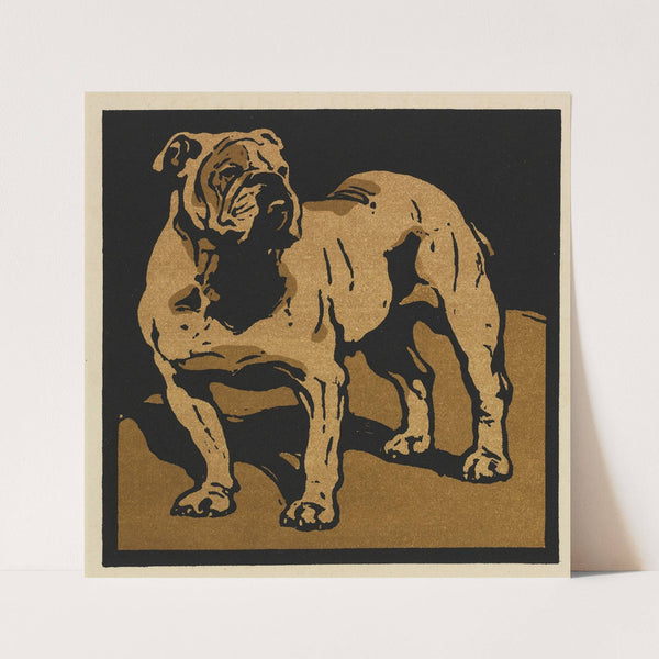 The Square Book of Animals; The British Bull-Dog (1899) by William Nicholson