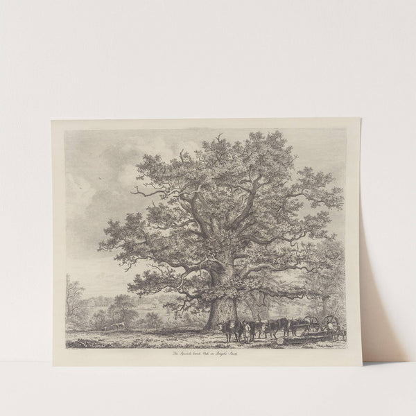 The Squitch Bank Oak by Jacob George Strutt